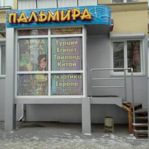 Фотография Пальмира 5