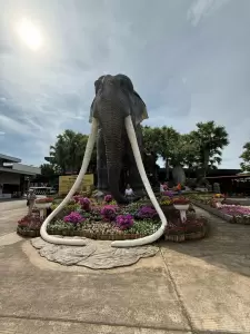 Фотография Sunmar 5